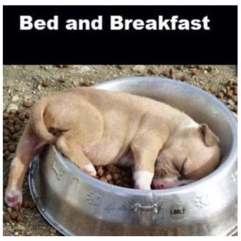 Bed and Breakfast